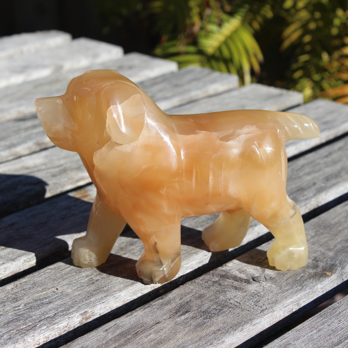 Honey Calcite hand-carved Dog 673g