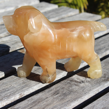 Honey Calcite hand-carved Dog 673g