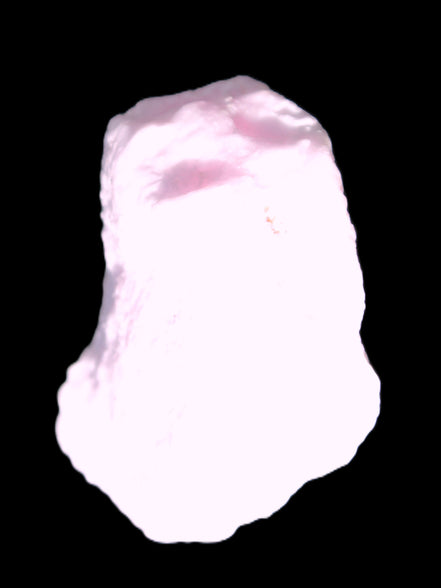 Pink Aragonite specimen from Pakistan 62*22*51mm 76.5g in bright sunlight -  Rocks and Things Store