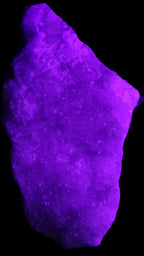 Pink Aragonite specimen on Ironstone matrix 113*53*65mm 379.8g in sunlight - Rocks and Things Store