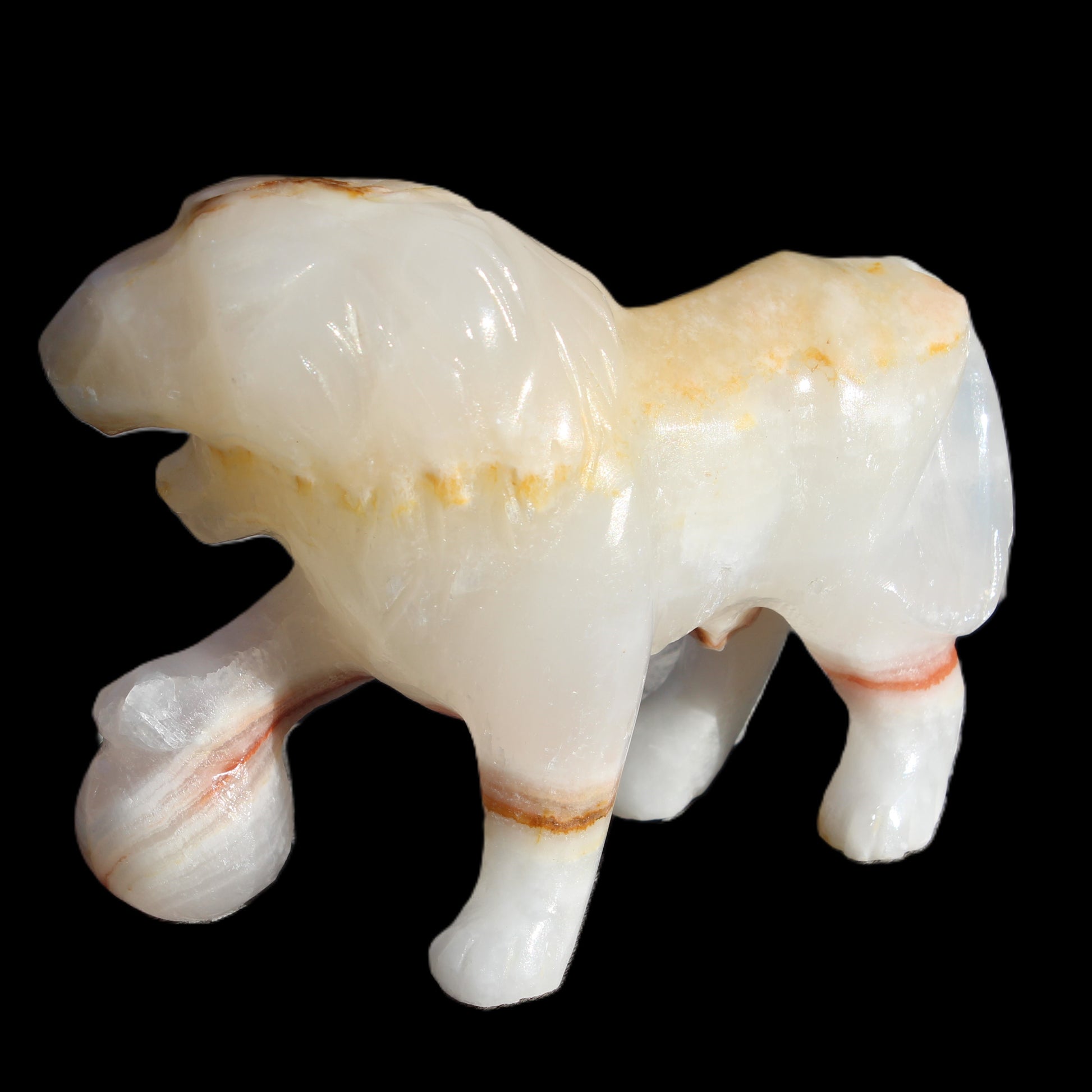 Afghan Jade Onyx hand-carved Lion 503g Rocks and Things