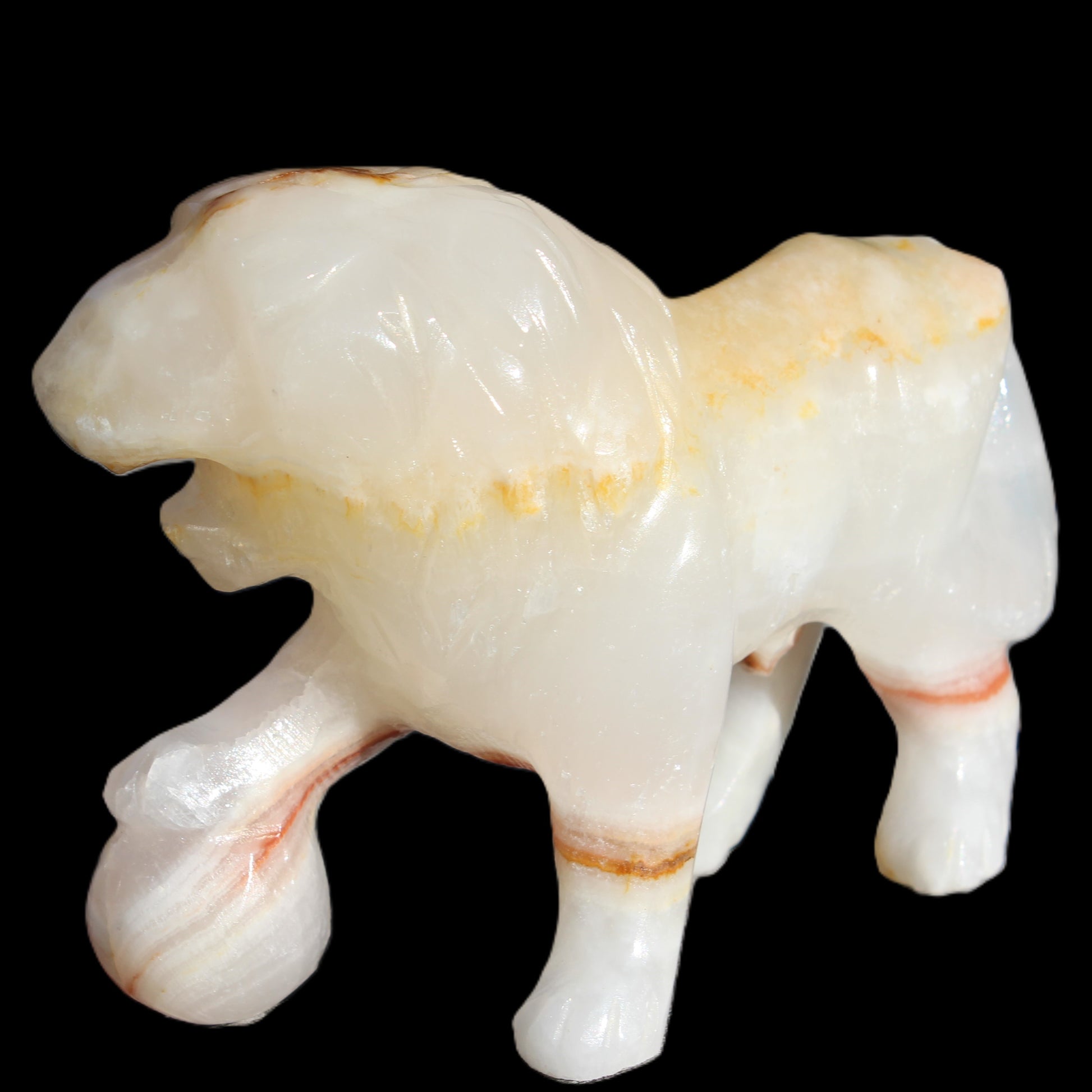 Afghan Jade Onyx hand-carved Lion 503g Rocks and Things