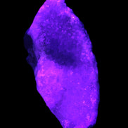 Pink Aragonite specimen on Ironstone matrix  64*26*28mm 70g in UV light - Rocks and Things Store