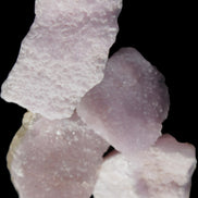 Pink Aragonite four specimens 37-58mm 124g Wholesale Rocks and Things Store
