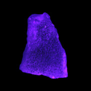 Pink Aragonite specimen on Ironstone matrix  in UV light - 43*24*35mm 40g