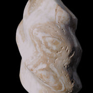 Caribbean Calcite flame 58*115mm 538g Rocks and Things Store