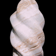 Caribbean Calcite flame 55*108mm 404.7g Rocks and Things Store