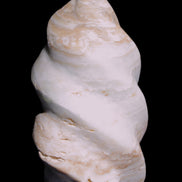 Caribbean Calcite flame 55*108mm 404.7g Rocks and Things Store