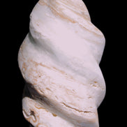 Caribbean Calcite flame 55*108mm 404.7g Rocks and Things Store