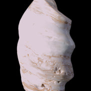 Caribbean Calcite flame 55*108mm 404.7g Rocks and Things Store