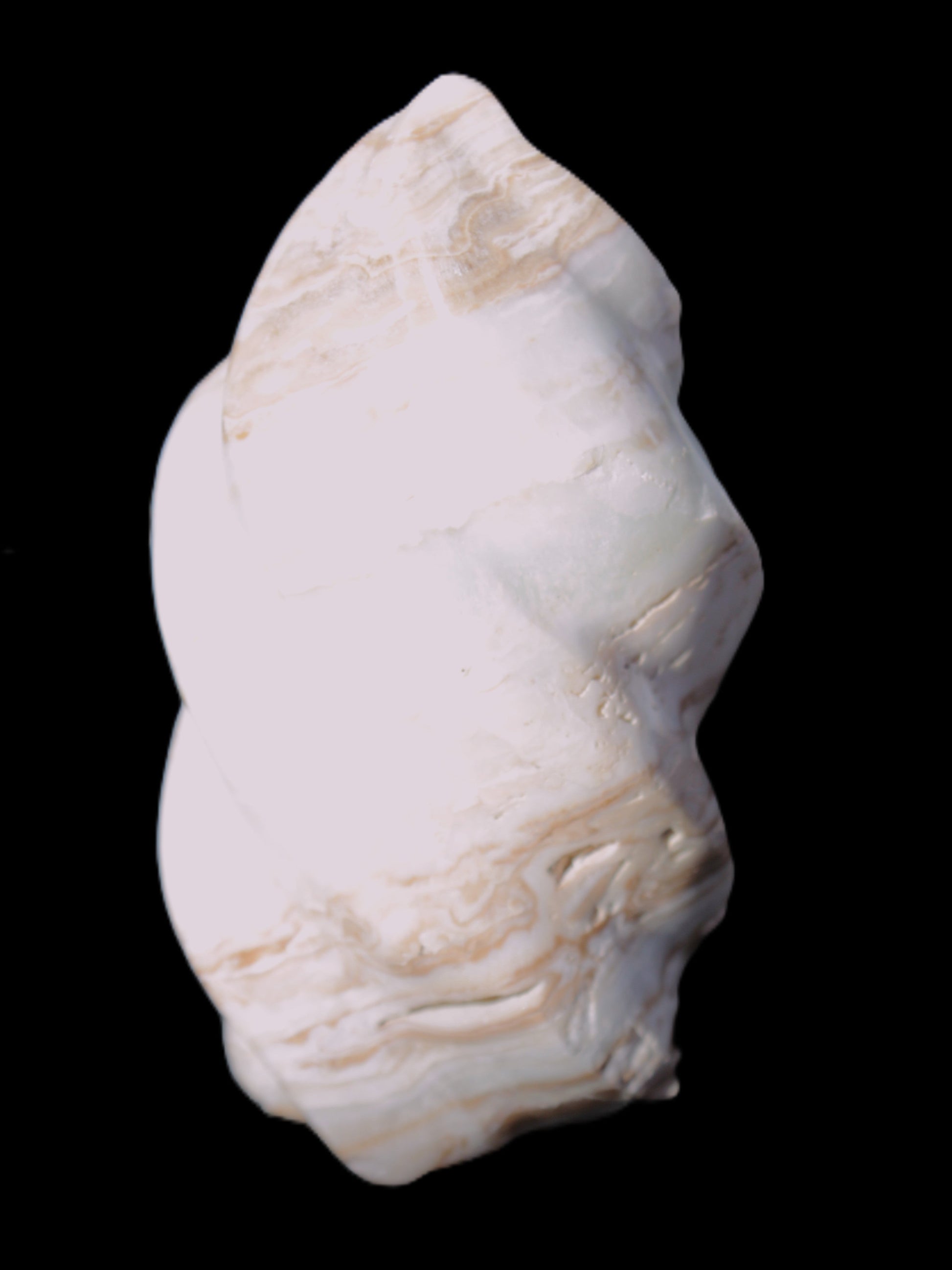 Caribbean Calcite flame 55*108mm 404.7g Rocks and Things Store