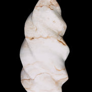 Caribbean Calcite flame 55*117mm 449.7g Rocks and Things Store