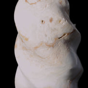 Caribbean Calcite flame 55*117mm 449.7g Rocks and Things Store