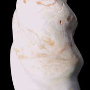 Caribbean Calcite flame 55*117mm 449.7g Rocks and Things Store