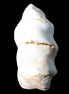 Caribbean Calcite flame 49*105mm 384g Rocks and Things Store
