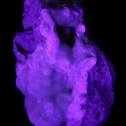 Blue Aragonite Caribbean Calcite specimen 101*40*79mm 223g in UV light - Rocks and Things Store