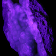 Blue Aragonite Caribbean Calcite specimen 101*40*79mm 223g in UV light - Rocks and Things Store