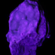 Blue Aragonite Caribbean Calcite specimen 101*40*79mm 223g in UV light - Rocks and Things Store