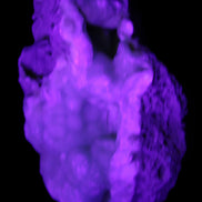 Blue Aragonite Caribbean Calcite specimen 101*40*79mm 223g in UV light - Rocks and Things Store