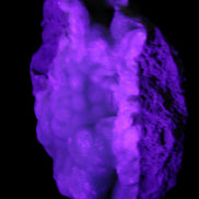 Blue Aragonite Caribbean Calcite specimen 101*40*79mm 223g in UV light - Rocks and Things Store