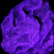 Blue Aragonite Caribbean Calcite specimen 97*53*85mm 395g in UV light - Rocks and Things Store