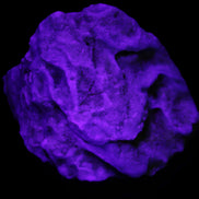 Blue Aragonite Caribbean Calcite specimen 97*53*85mm 395g in UV light - Rocks and Things Store