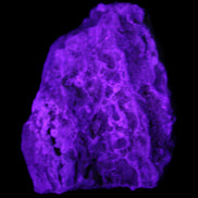 Blue Aragonite Caribbean Calcite specimen 97*53*85mm 395g in UV light - Rocks and Things Store