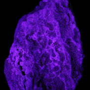 Blue Aragonite Caribbean Calcite specimen 97*53*85mm 395g in UV light - Rocks and Things Store