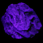 Blue Aragonite Caribbean Calcite specimen 97*53*85mm 395g in UV light - Rocks and Things Store