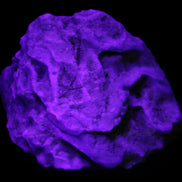 Blue Aragonite Caribbean Calcite specimen 97*53*85mm 395g in UV light - Rocks and Things Store