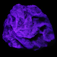 Blue Aragonite Caribbean Calcite specimen 97*53*85mm 395g in UV light - Rocks and Things Store