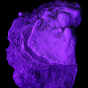 Blue Aragonite Caribbean Calcite specimen 95*48*68mm 352.2g in UV light - Rocks and Things Store