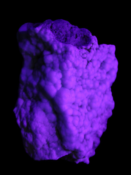 Blue Aragonite Caribbean Calcite specimen 95*48*68mm 352.2g in UV light - Rocks and Things Store