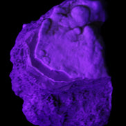 Blue Aragonite Caribbean Calcite specimen 95*48*68mm 352.2g in UV light - Rocks and Things Store