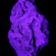 Blue Aragonite 76*22*55mm 88g in sunlight - Rocks and Things Store