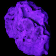 Blue Aragonite 76*22*55mm 88g in sunlight - Rocks and Things Store