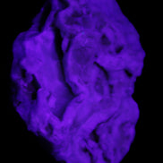 Blue Aragonite 76*22*55mm 88g in sunlight - Rocks and Things Store