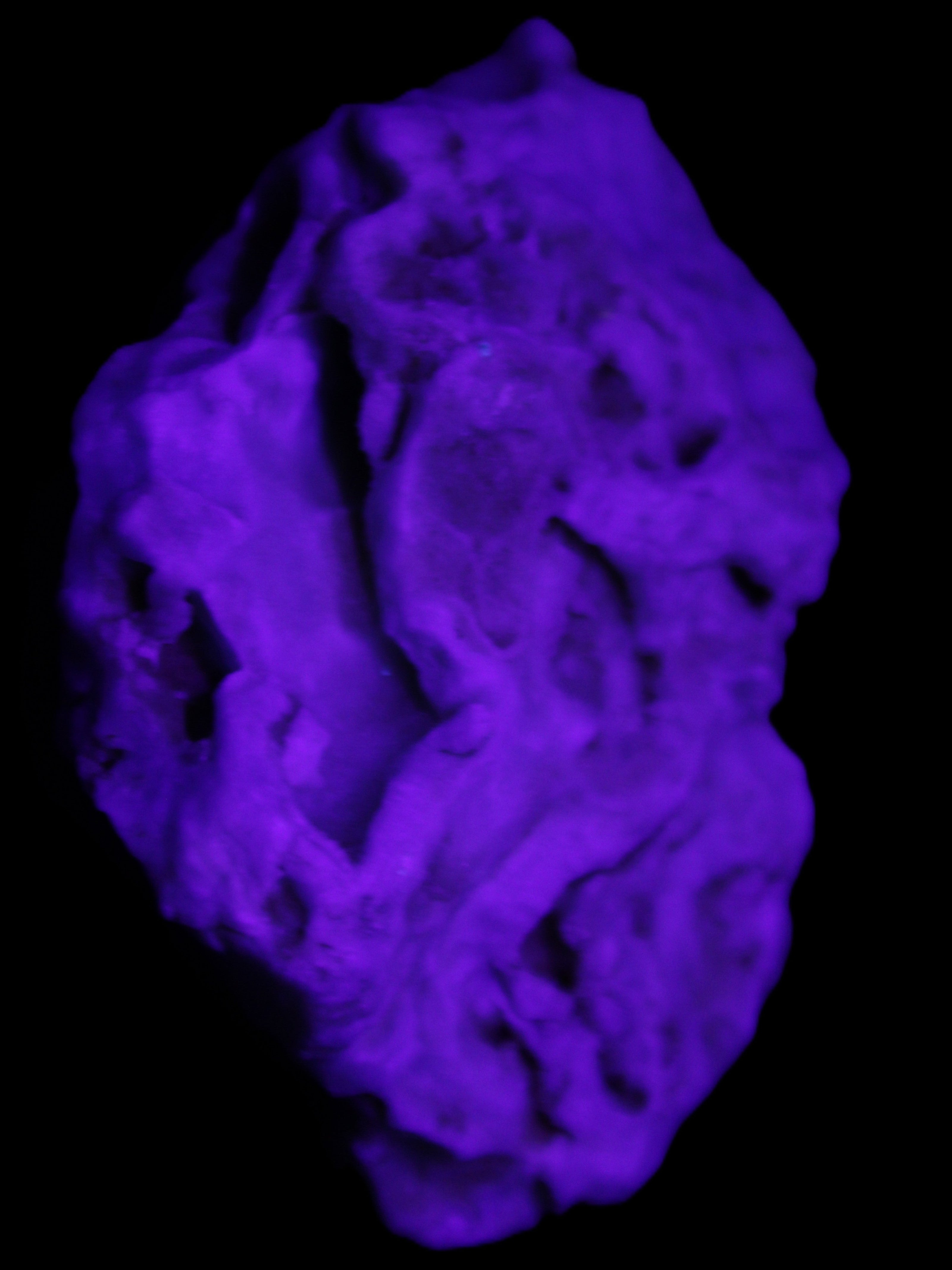 Blue Aragonite 76*22*55mm 88g in sunlight - Rocks and Things Store