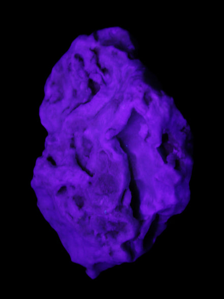 Blue Aragonite 76*22*55mm 88g in sunlight - Rocks and Things Store