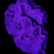 Blue Aragonite 76*22*55mm 88g in sunlight - Rocks and Things Store