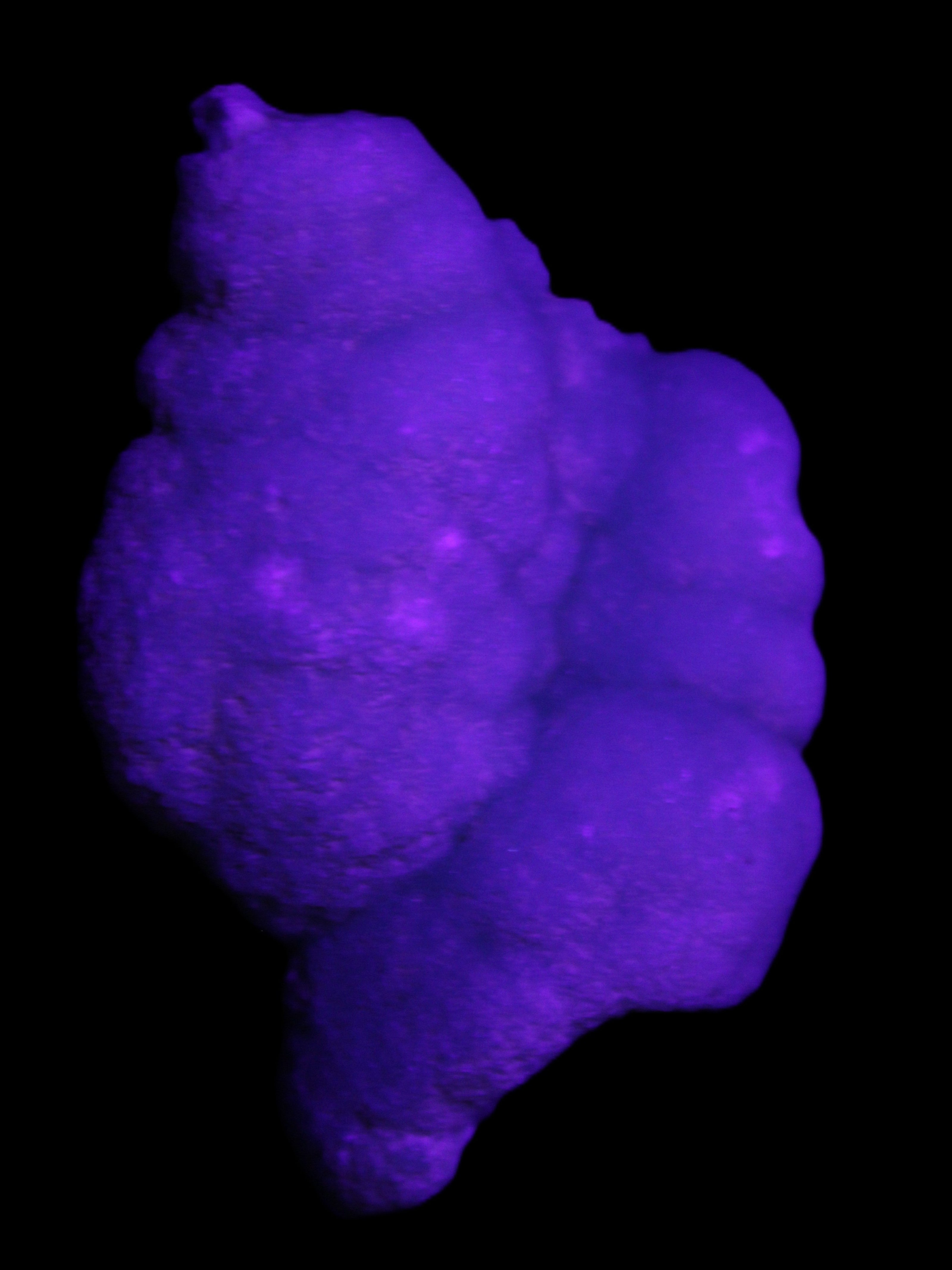 Blue Aragonite specimen 73*22*53mm 100g in sunlight - Rocks and Things Store