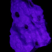 Blue Aragonite specimen 102*21*70mm 185g in sunlight - Rocks and Things Store