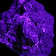 Blue Aragonite Caribbean Calcite specimen 95*55*93mm 343g in UV light - Rocks and Things Store