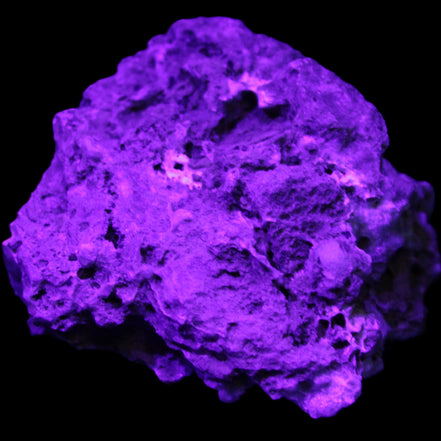 Blue Aragonite Caribbean Calcite specimen 95*55*93mm 343g in UV light - Rocks and Things Store