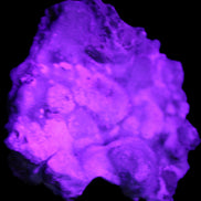 Blue Aragonite Caribbean Calcite specimen 95*55*93mm 343g in UV light - Rocks and Things Store