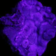 Blue Aragonite Caribbean Calcite specimen 95*55*93mm 343g in UV light - Rocks and Things Store