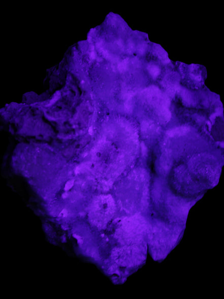 Blue Aragonite Caribbean Calcite specimen 95*55*93mm 343g in UV light - Rocks and Things Store