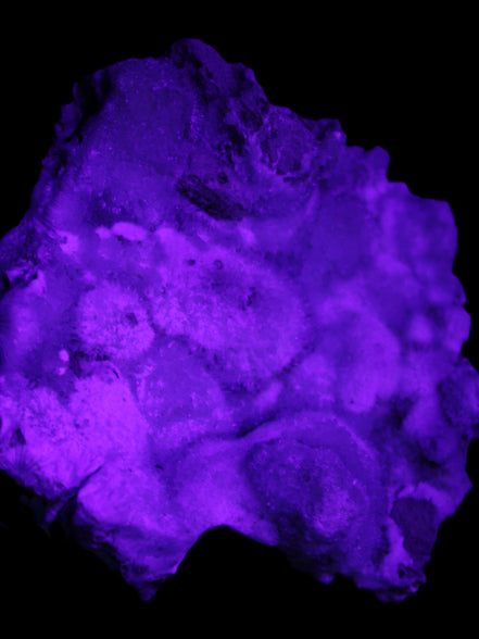 Blue Aragonite Caribbean Calcite specimen 95*55*93mm 343g in UV light - Rocks and Things Store