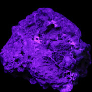 Blue Aragonite Caribbean Calcite specimen 95*55*93mm 343g in UV light - Rocks and Things Store