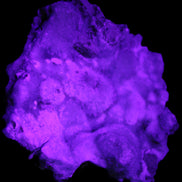 Blue Aragonite Caribbean Calcite specimen 95*55*93mm 343g in UV light - Rocks and Things Store